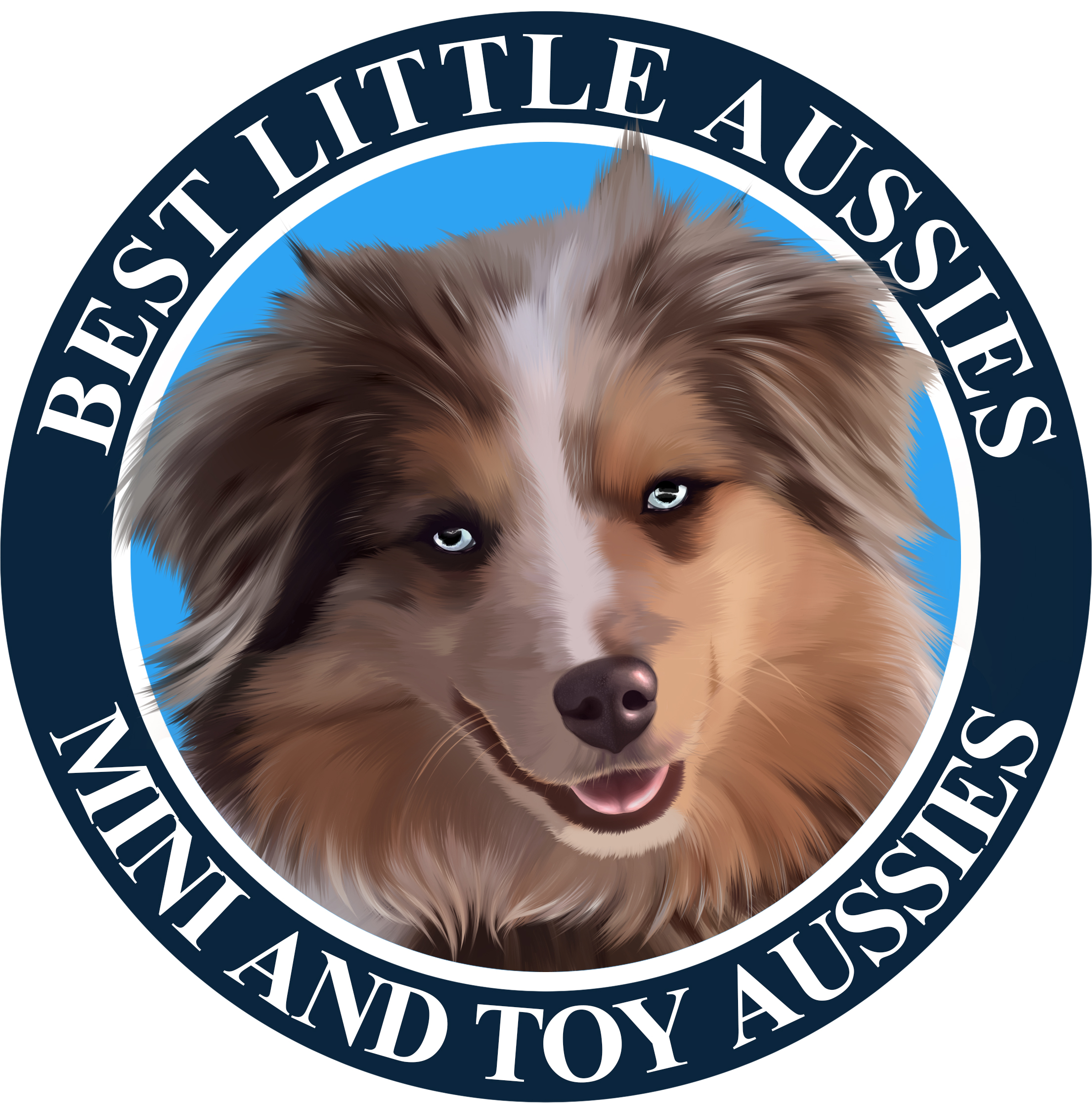 Little Debs Toy/Mini Australian Shepherds